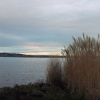 Kirkland Lake Washington 1