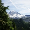 Rainier View 0