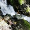 Water Spring 0